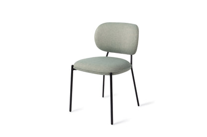 Yoichi Dining Chair Crispy Fern