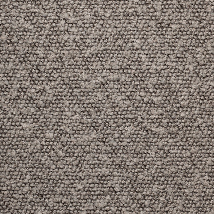 Raccoon Fabric Swatch